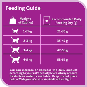 Alternative view of Whiskas Skin and Coat Chicken and Salmon Dry Cat Food, 1.1kg