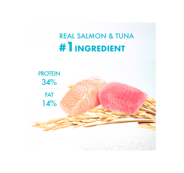 Purina One Healthy Adult Salmon and Tuna Dry Cat Food - Image 4