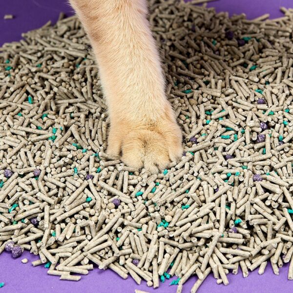 PetKit Fast Clumping Mixed Cat Litter, 7.9L - Image 6