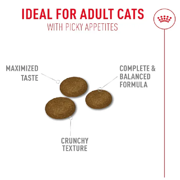 Royal Canin Fussy Exigent Dry Cat Food, 2kg - Image 2