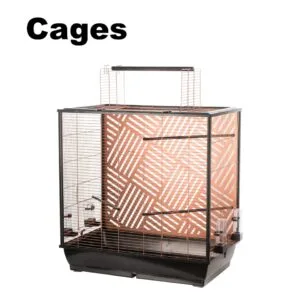 Bird Cages