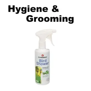 Bird Hygiene and Grooming