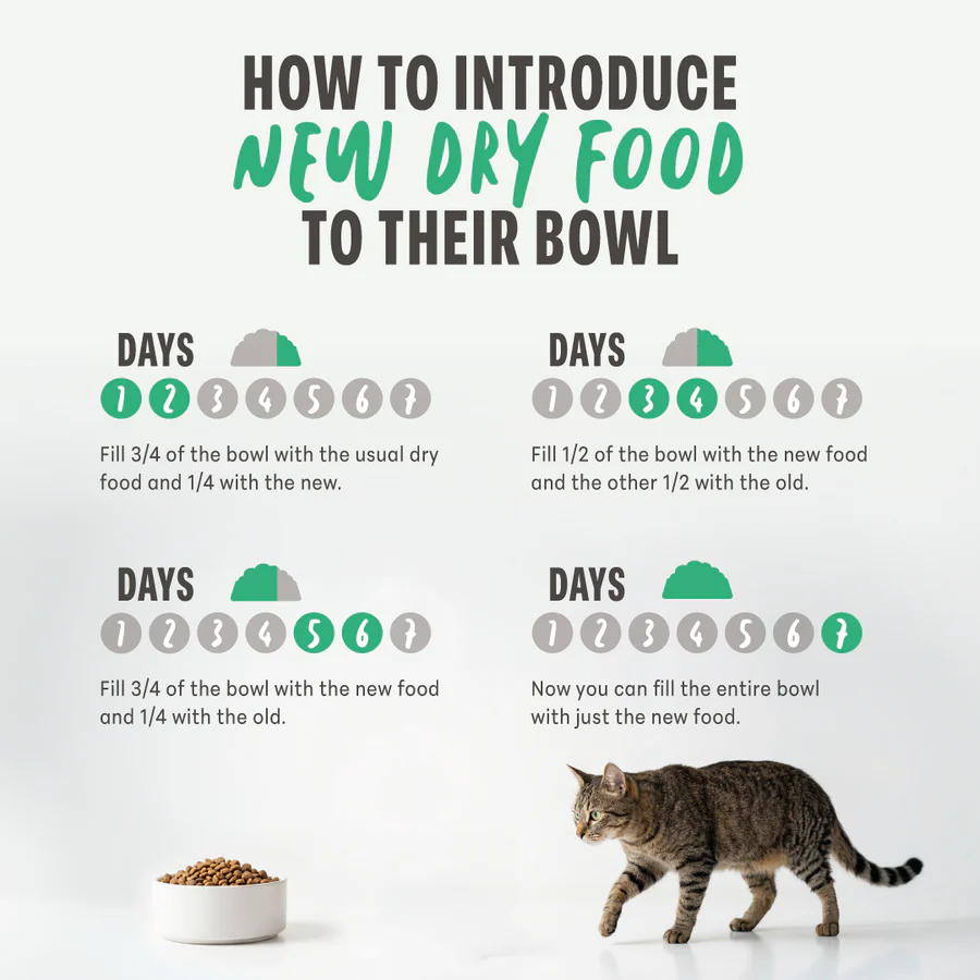 Schesir Monoprotein Sensitive with Fresh Fish Dry Cat Food - Image 3