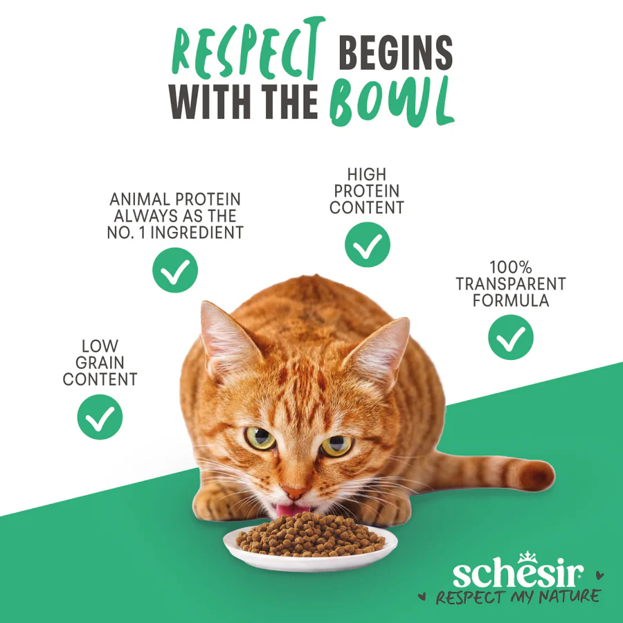 Schesir Monoprotein Sensitive with Fresh Fish Dry Cat Food - Image 4