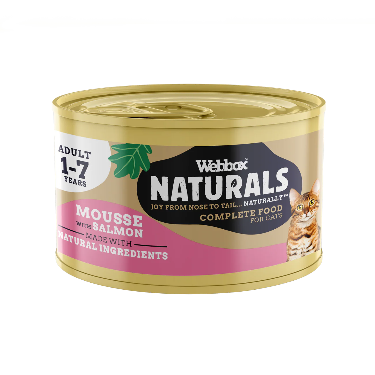 Webbox Naturals Mousse with Salmon, Wet Cat Food, 85g