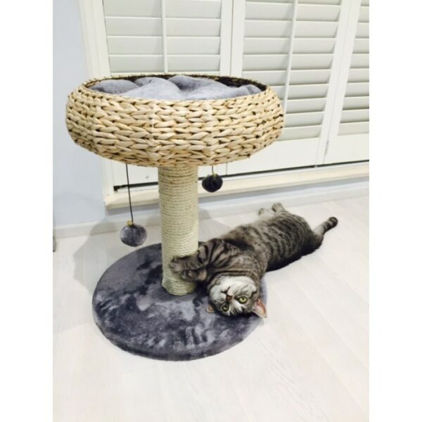 Paola Cat Playground - Grey