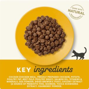 Alternative view of Applaws Adult Chicken Dry Cat Food