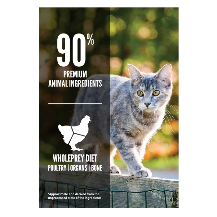 Orijen Original Dry Cat Food - Image 3
