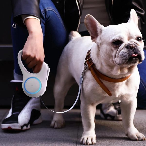 PetKit SmartPet Leash, Go Shine Max! 4.5m - Image 8