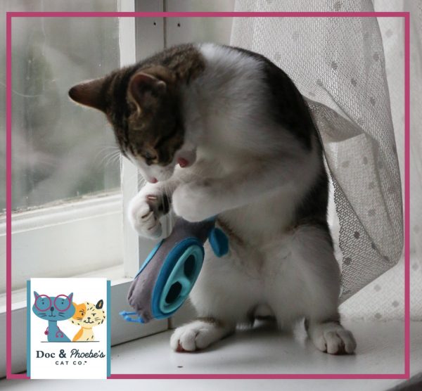 Doc & Phoebe's Cat Co. Indoor Hunting Cat Feeder Kit - Image 4
