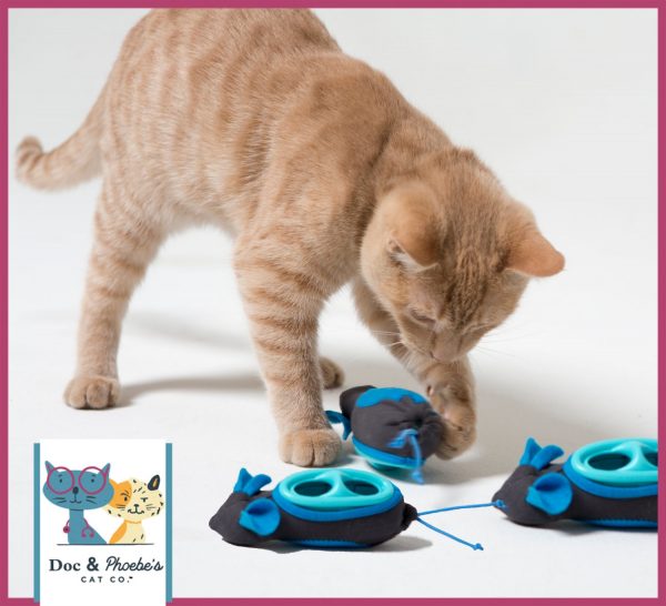 Doc & Phoebe's Cat Co. Indoor Hunting Cat Feeder Kit - Image 6