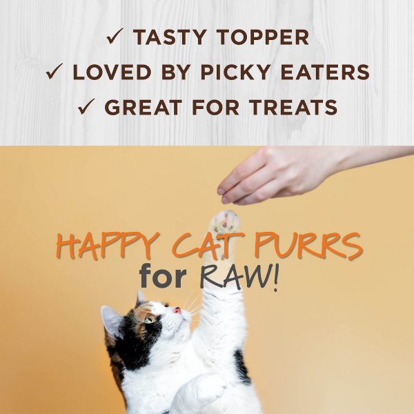 Instinct Raw Boost Mixers Digestive Health Freeze-Dried Cat Food Topper - Image 4