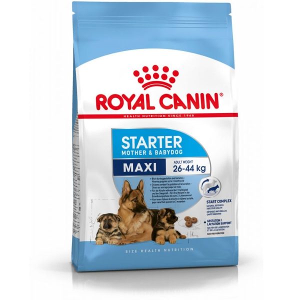 Royal Canin Maxi Starter Mother & Babydog Dry Dog Food