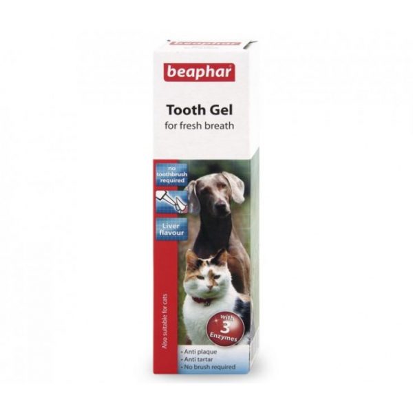 Tooth Gel, 100g