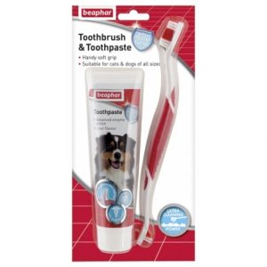 Toothbrush and tooth paste