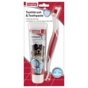 Toothbrush and tooth paste