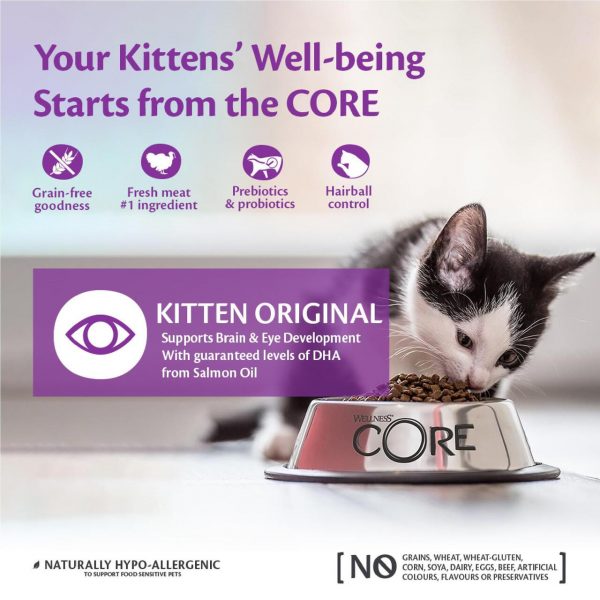 Wellness CORE Grain Free Turkey and Chicken Recipe Dry Kitten Food, 1.75 kg - Image 2
