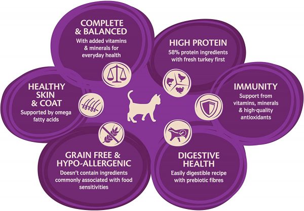 Wellness CORE Grain Free Turkey and Chicken Recipe Dry Kitten Food, 1.75 kg - Image 3