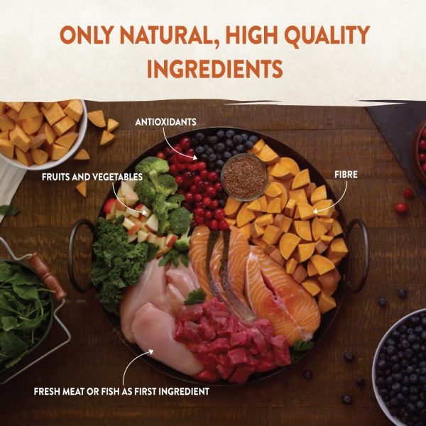 Wellness CORE Grain Free Turkey and Chicken Recipe Dry Kitten Food, 1.75 kg - Image 4