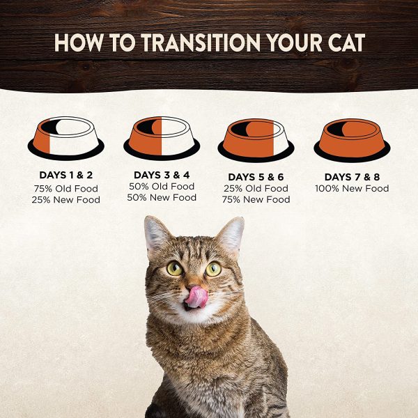 Wellness CORE Grain Free Turkey and Chicken Recipe Dry Kitten Food, 1.75 kg - Image 7