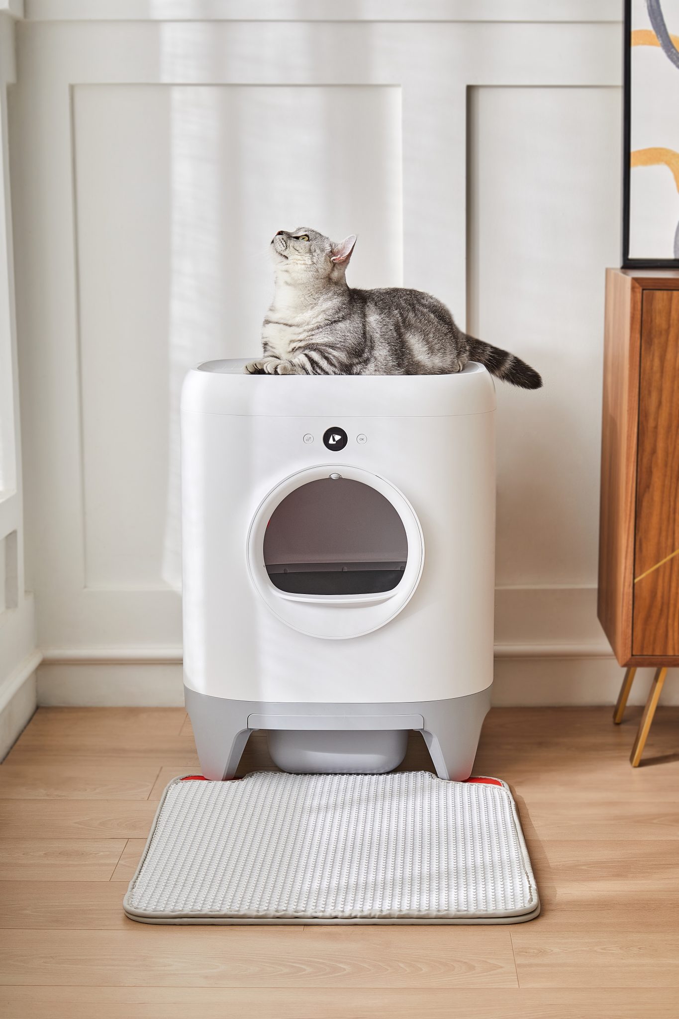 PetKit Pura X Smart Automatic Litter Box Smart Pet Kuwait