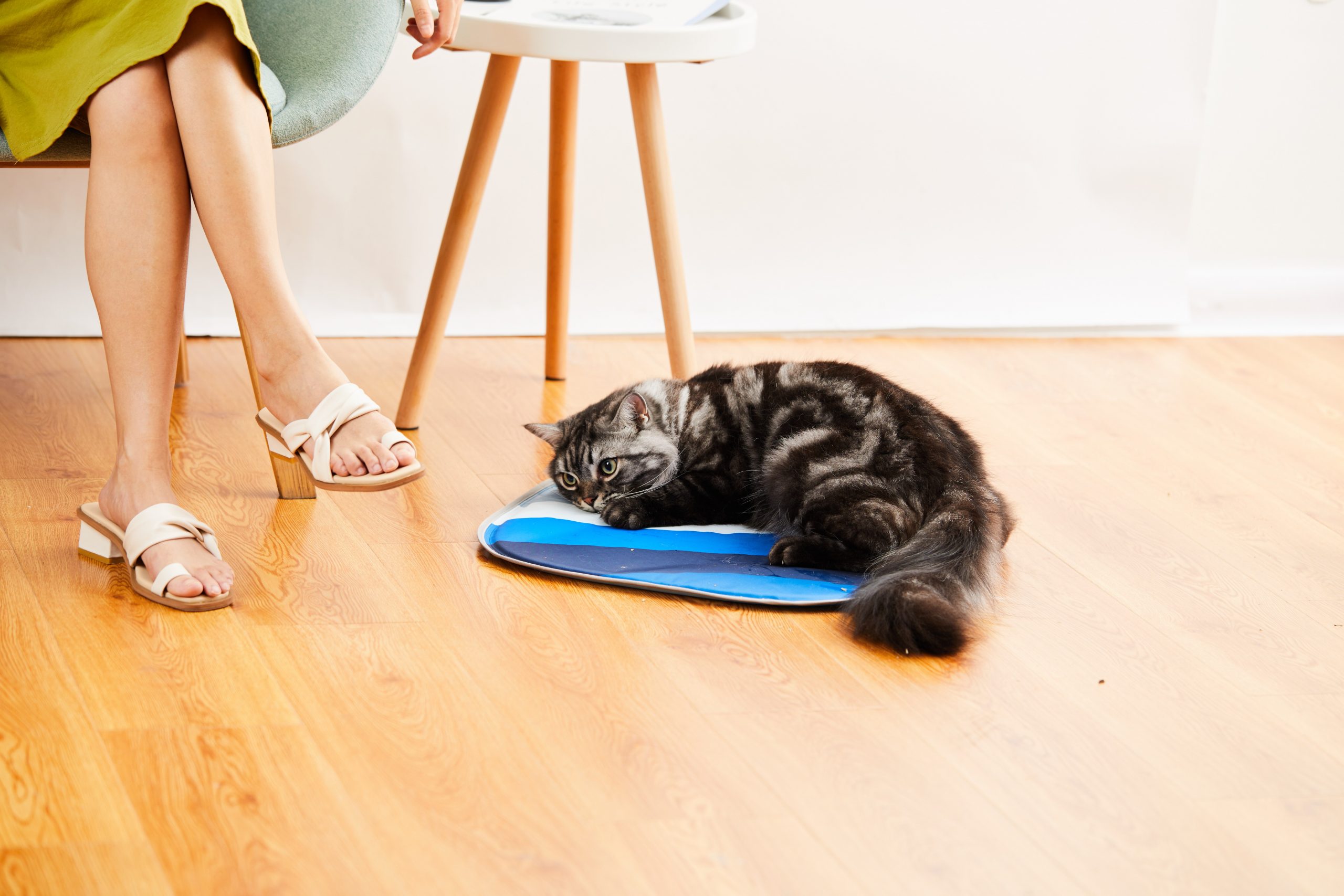 Cat discount cooling pad