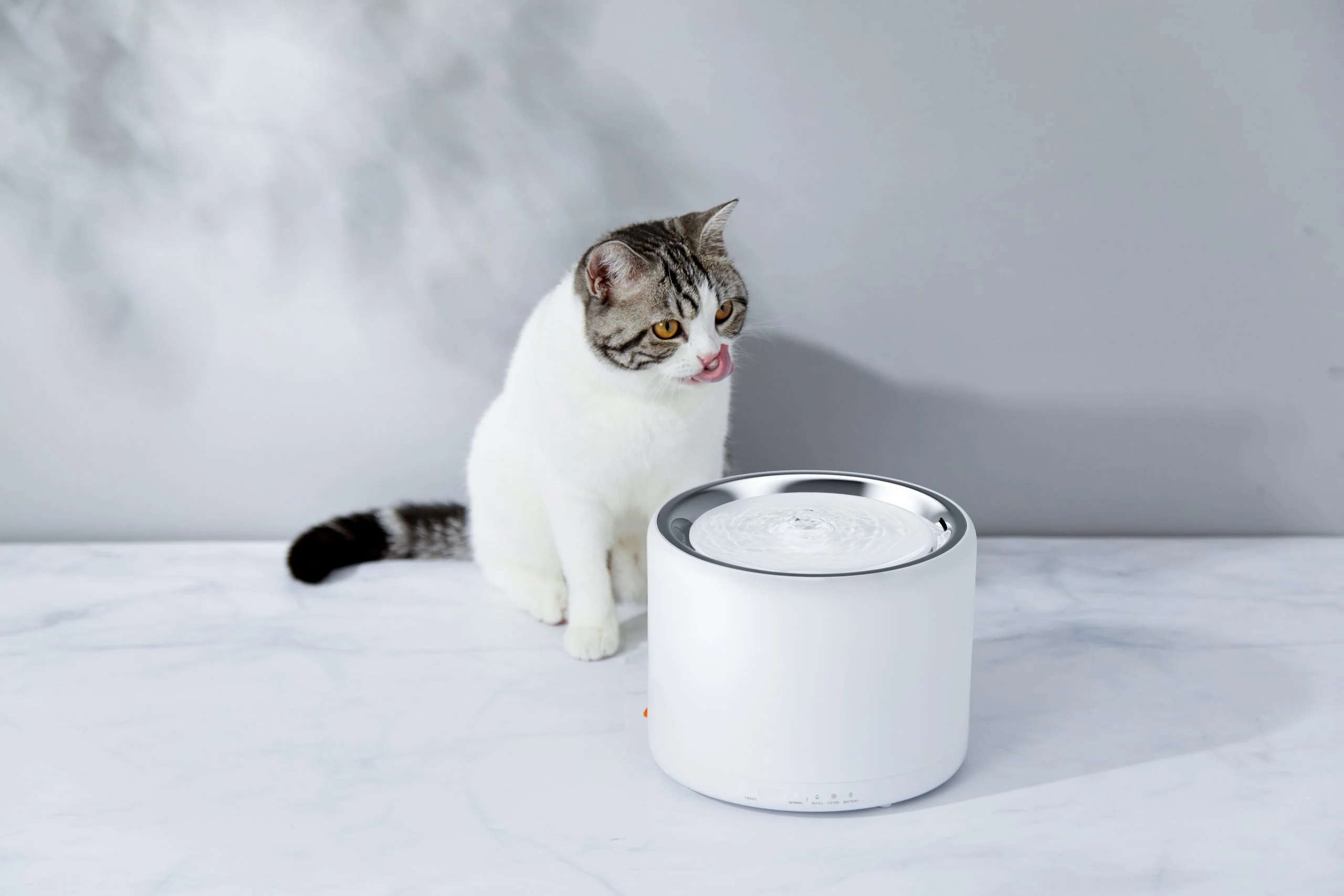 PetKit Smart Water Fountain 3 - Image 5