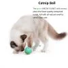 PetKit Fun! 4 in 1 Cat Scratcher - Image 6