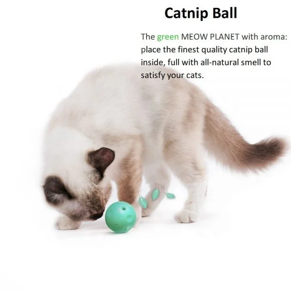 PetKit Fun! 4 in 1 Cat Scratcher - Image 6