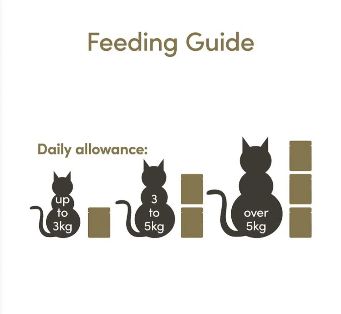 Applaws Chicken with Asparagus in Broth Wet Cat Food, 70 g - Image 4