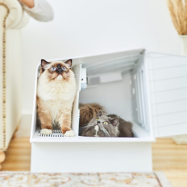PetKit WhiteVilla Cat Litter Box + (Smart Odour Eliminator) - Image 3