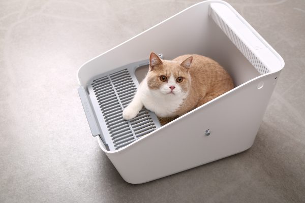 PetKit Pura Cat Litter Box + (Smart Odour Eliminator) - Image 6