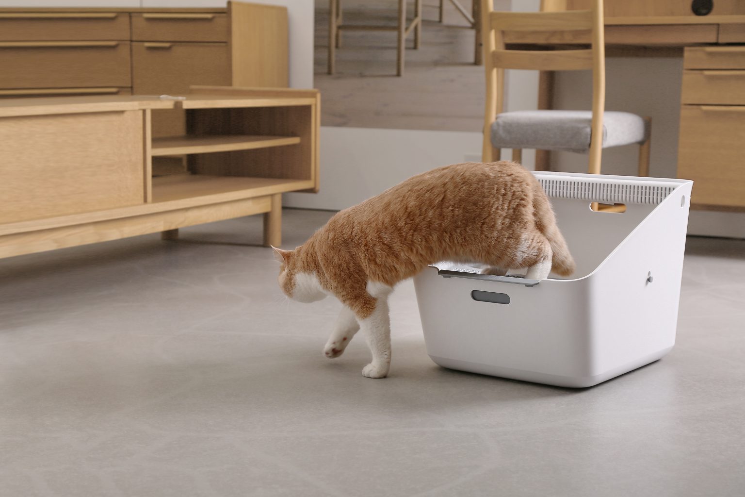 PetKit Pura Cat Litter Box + (Smart Odour Eliminator) Smart Pet Kuwait