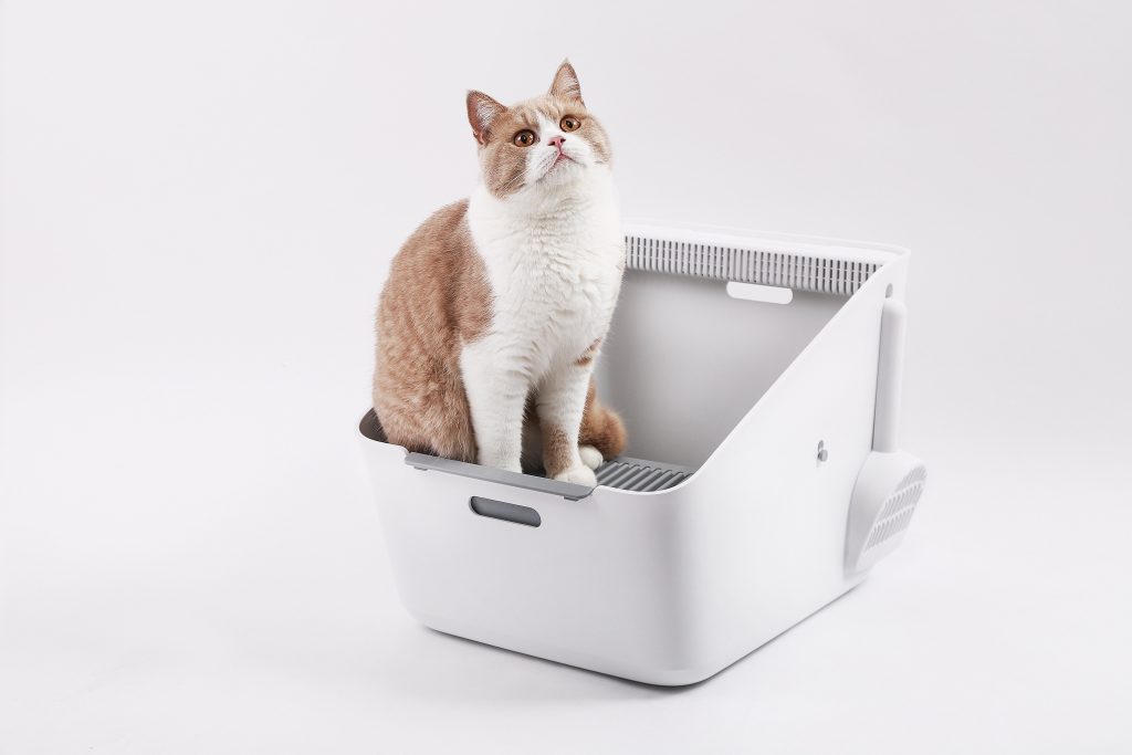 PetKit Pura Cat Litter Box + (Smart Odour Eliminator) Smart Pet Kuwait