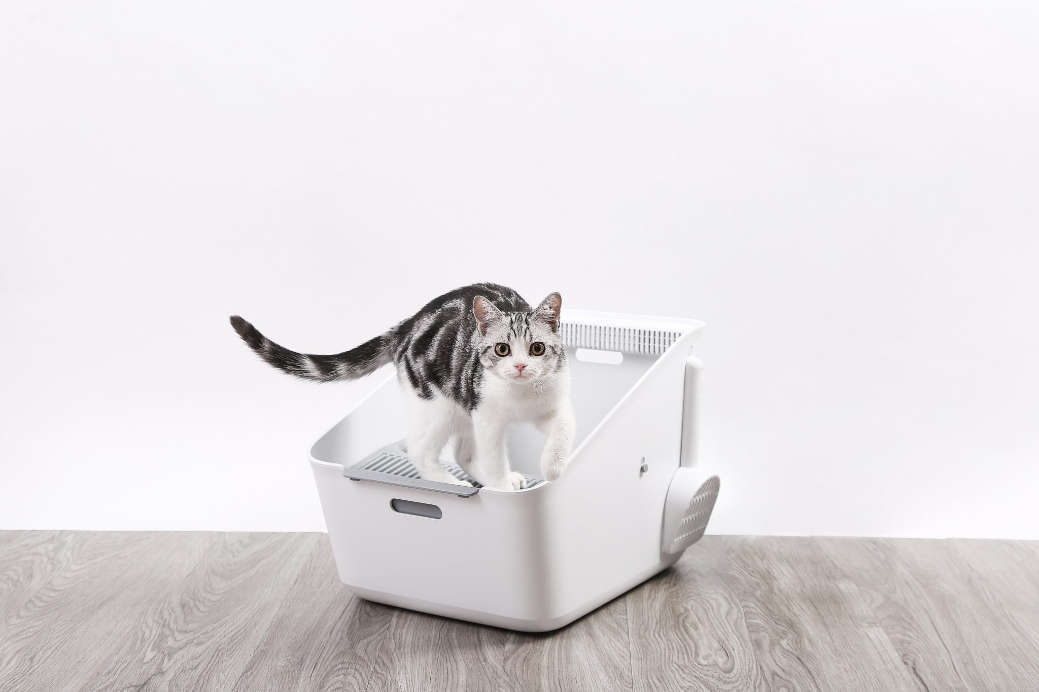 PetKit Pura Cat Litter Box + (Smart Odour Eliminator) Smart Pet Kuwait