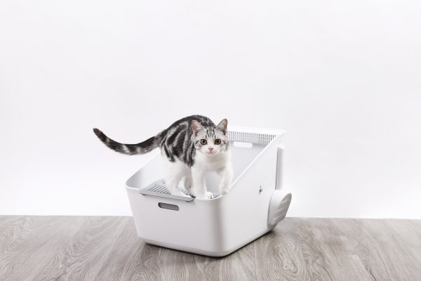 PetKit Pura Cat Litter Box + (Smart Odour Eliminator) - Image 2