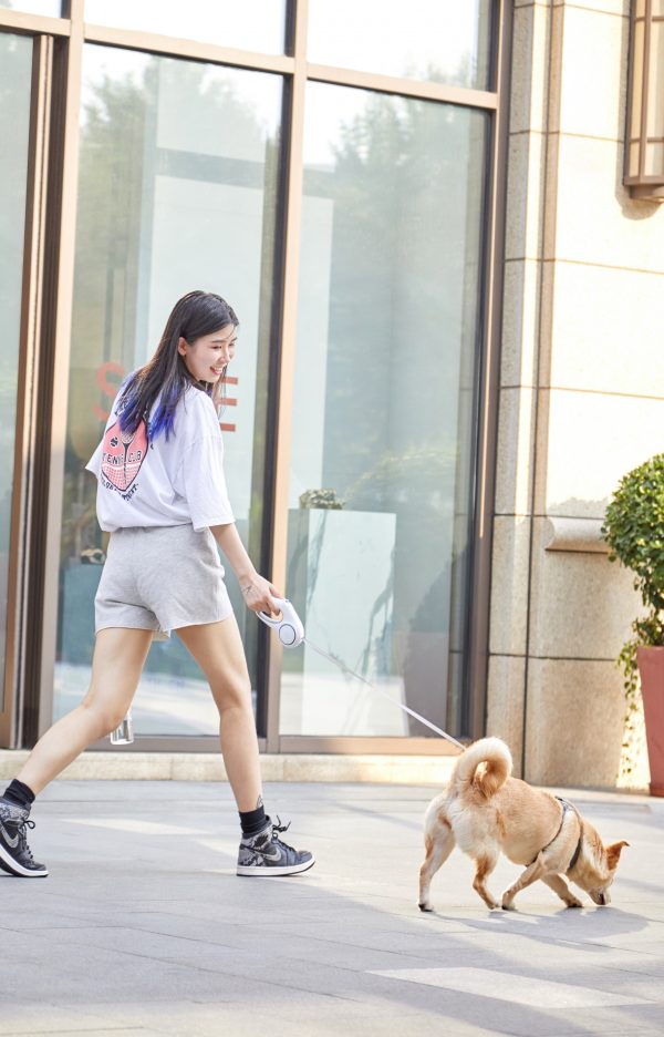 Walk a Dog Bundle - Image 4