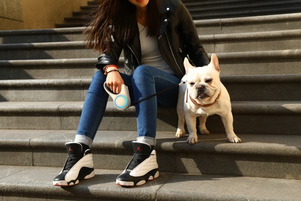 Walk a Dog Bundle - Image 2