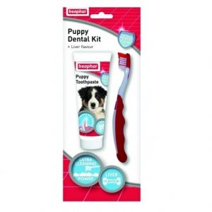 Beaphar Puppy Dental Kit, 50g