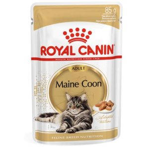 Royal Canin Maine Coon Wet Cat Food, 85 g