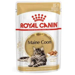 Royal Canin Maine Coon Wet Cat Food, 85 g