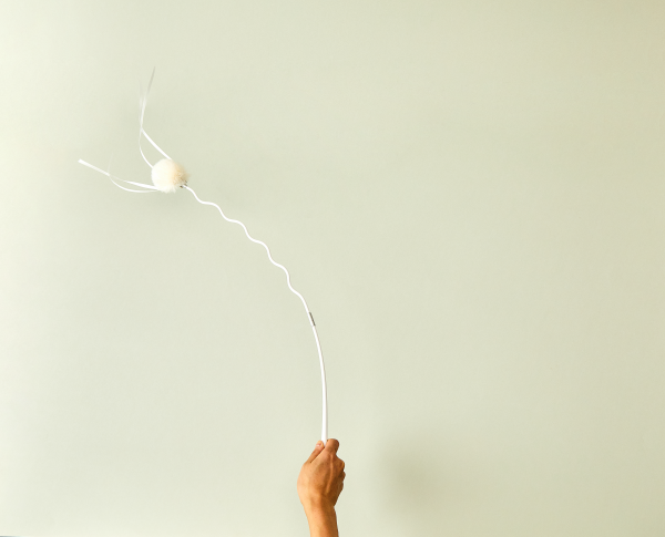 PetKit Cat Teaser Wand - Image 8