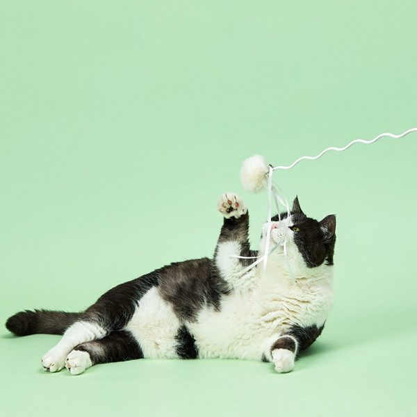 PetKit Cat Teaser Wand - Image 6
