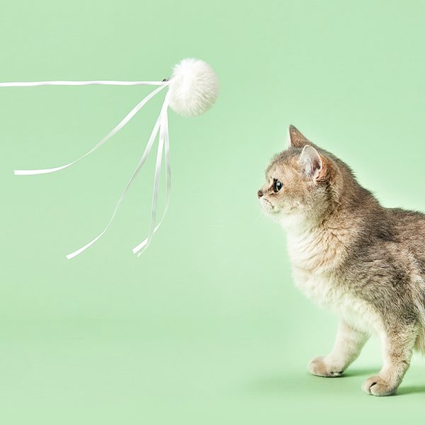 PetKit Cat Teaser Wand - Image 3