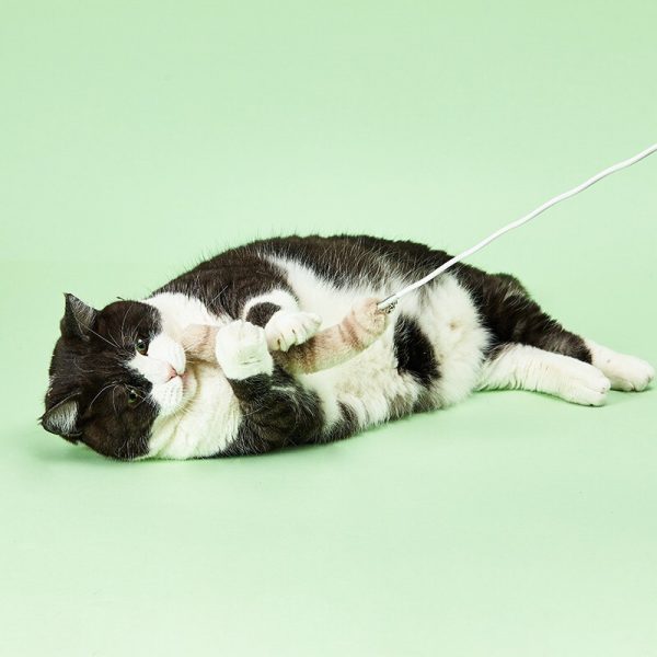 PetKit Cat Teaser Wand - Image 5