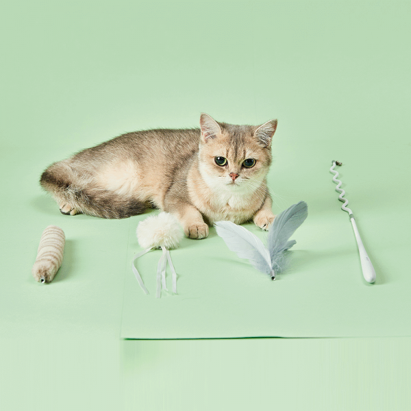 PetKit Cat Teaser Wand Replacement - Image 2