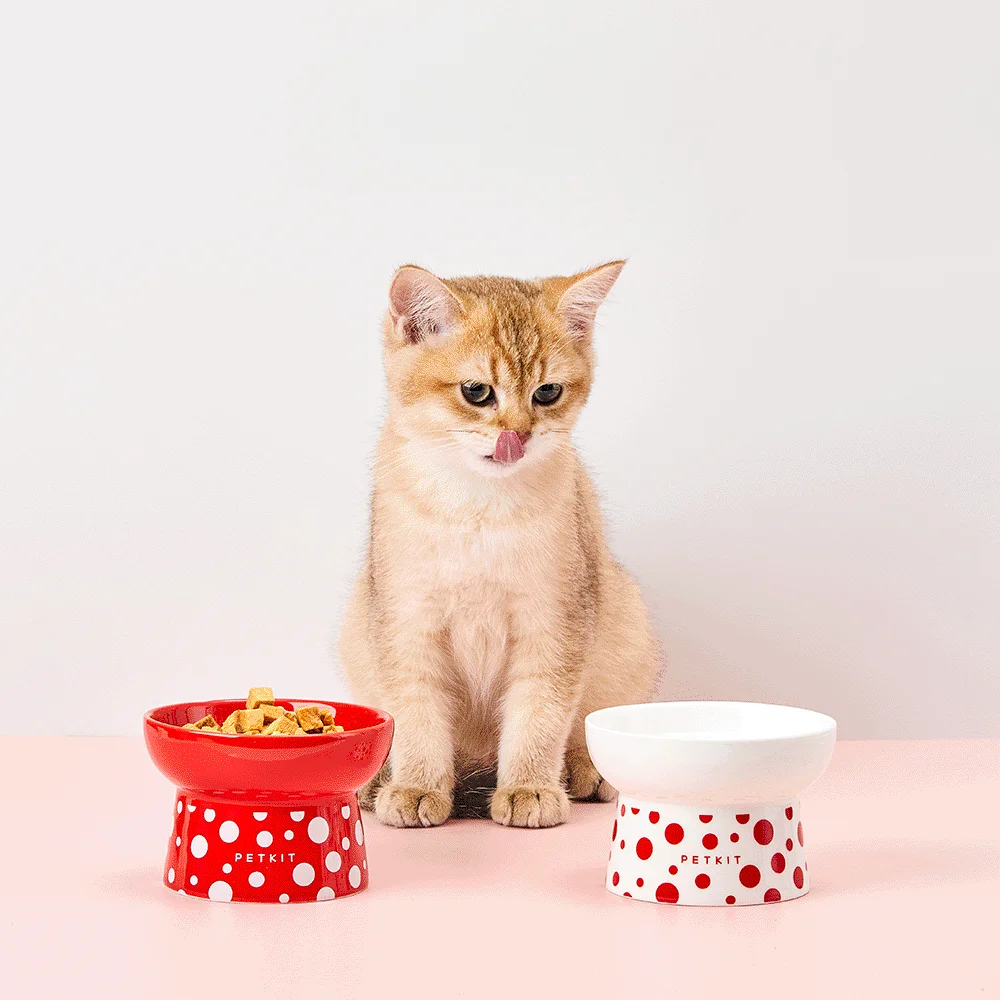 PetKit Polka Dot Ceramic Bowl - Image 2