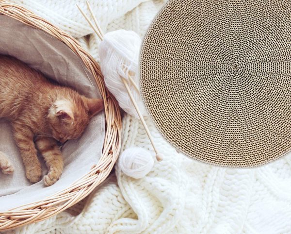 Replacement for PetKit Fun! 4 in 1 Cat Scratcher Cardboard - Image 3
