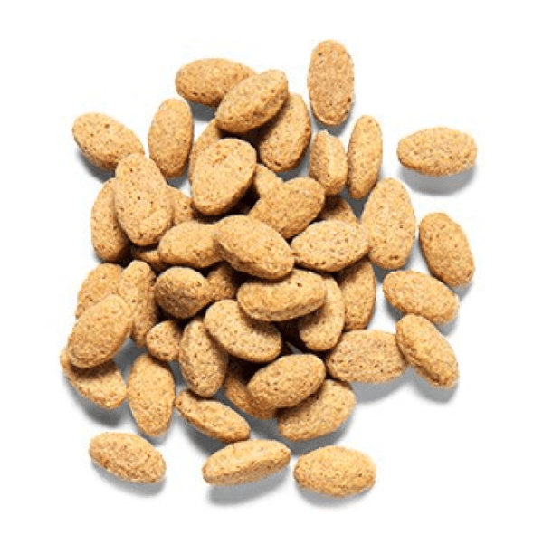 Zupreem Avion Diet for Parrots & Conures, 1.4kg - Image 2