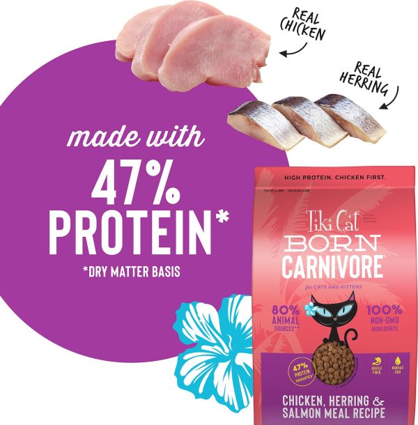 TikiCat Born Carnivore Chicken, Herring & Salmon BAKED Dry Cat and Kitten Food - Image 3